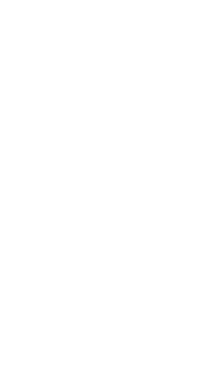 HAKONE CHEESE TERRACE